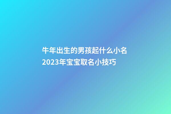 牛年出生的男孩起什么小名 2023年宝宝取名小技巧